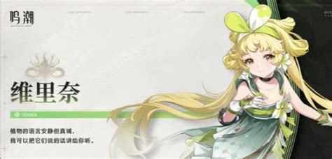 《鸣潮》洛可可顶尖配队方案,打造无敌阵容攻略! 2