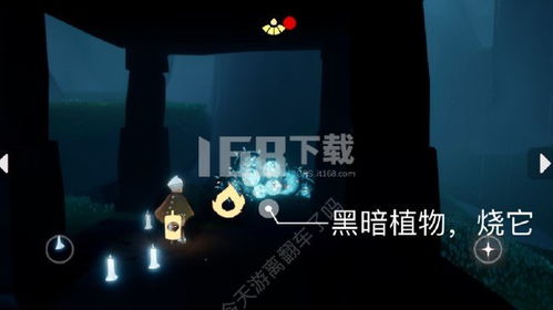 《光遇》1月17日每日任务怎么完成? 1