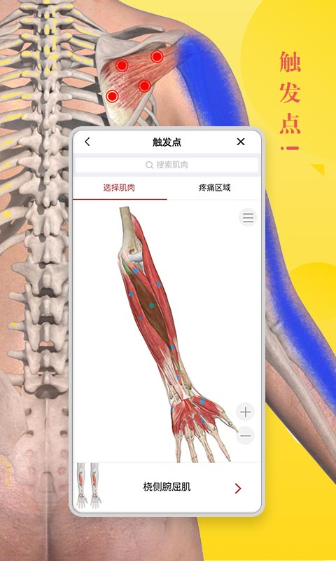 3d人体模型app 截图3