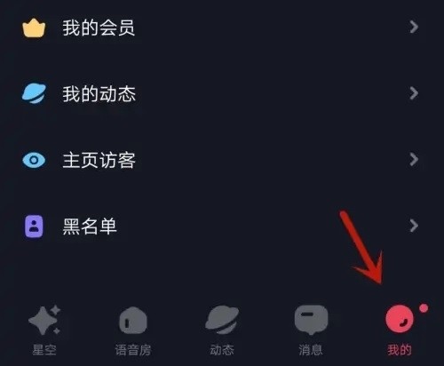 星空之遇闪聊 截图24