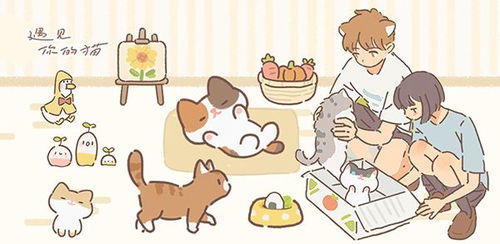 《《遇见你的猫》第二章:全面解析,助你轻松通关秘籍》 3