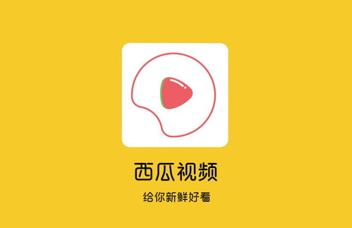 如何将《西瓜视频》作品一键同步到抖音? 2