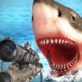 饥饿的鲨鱼猎人攻击ios