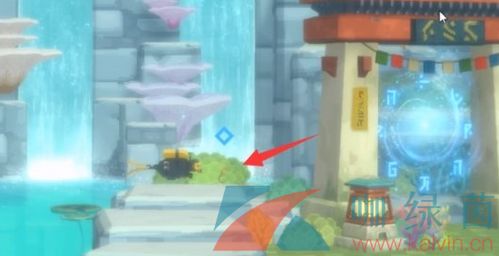 〈潜水员戴夫〉游戏中,如何高效捕获鹦嘴鱼? 3