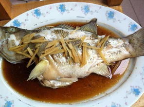 如何巧妙通关《脑洞非常大》?九漏鱼玩家必看攻略秘籍! 3