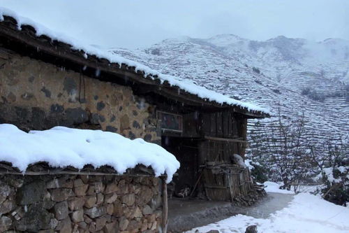 《寒冬腊月大挑战!《沙雕出击》助你暖心修缮老屋,爷爷奶奶温暖过冬攻略》 1