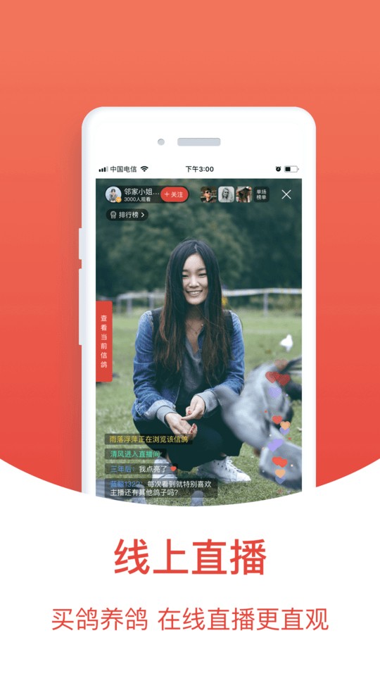 查鸽网 截图3