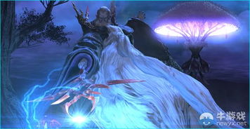 《最终幻想14:水晶世界》如何轻松获取超萌旅雀儿宠物? 1