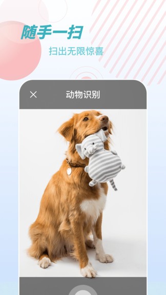 物品识别师 截图4