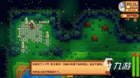 星露谷物语中星之果实的获取方法 3