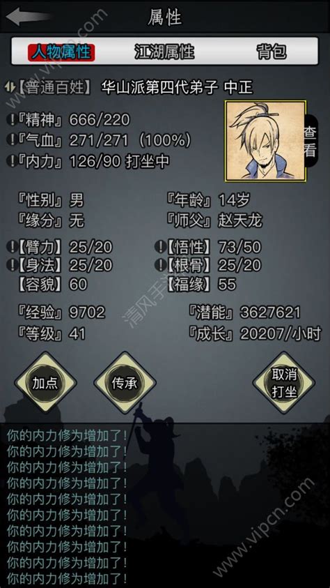 揭秘:放置江湖传承的详细流程全解析 2