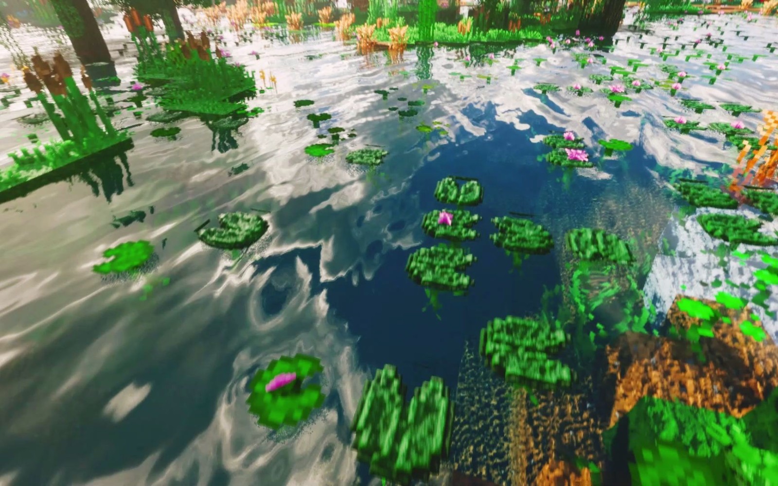 我的世界自然主义整合包 1