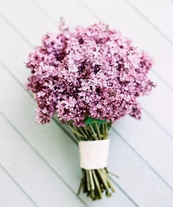 《无限暖暖》花愿镇地面如何激活20个响地爆竹任务攻略? 1