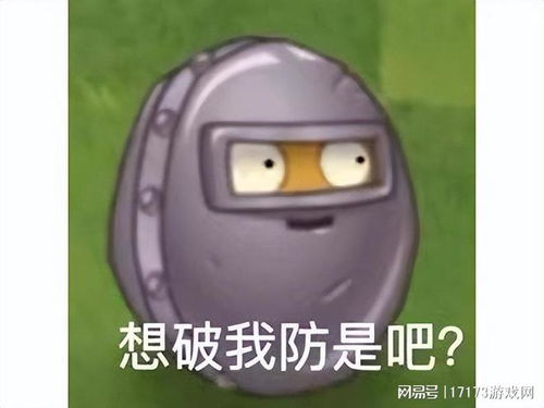 《揭秘〈元梦之星〉：开关操作全攻略》 2