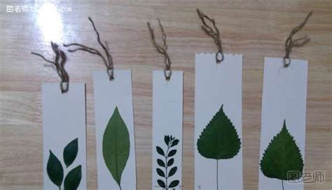 DIY创意树叶书签制作教程 1