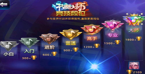 《节奏大师段位详解概览》 1