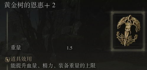 《揭秘！《艾尔登法环》中众武护符的高效获取攻略》 2