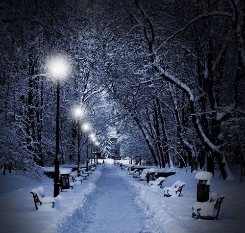 《《暖雪》HDR功能：开启还是关闭，哪个更适合你？》 1