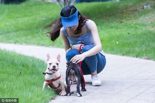 《超级对决比拼》大学生遛狗通关有什么攻略？ 1