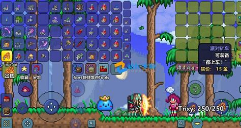 泰拉瑞亚里，迷失少女究竟是什么？ 4