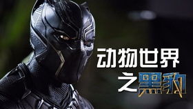 《漫威争锋之战:黑豹技能详解》 4