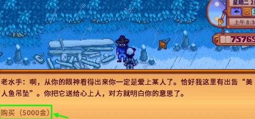 星露谷物语中如何获得美人鱼项链？ 3