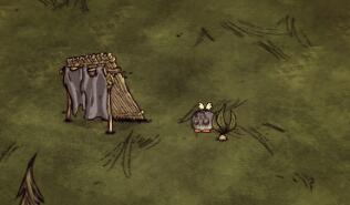 饥荒游戏中提升SAN值的有效方法 2