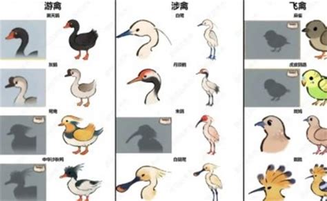 《桃源秘境针舞风华:挽风萦绣习巧针全攻略》 1