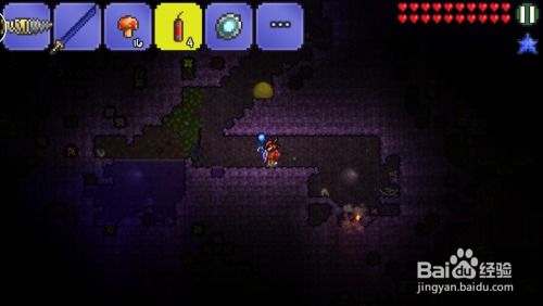 探索泰拉瑞亚:揭秘世界吞噬者的挑战之地 2