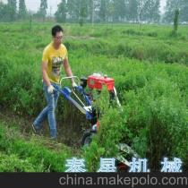 《如何在《悠星大陆》中高效收割生命草?一看就懂的攻略》 1