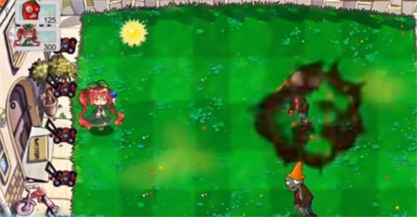 荔枝的植物世界 1