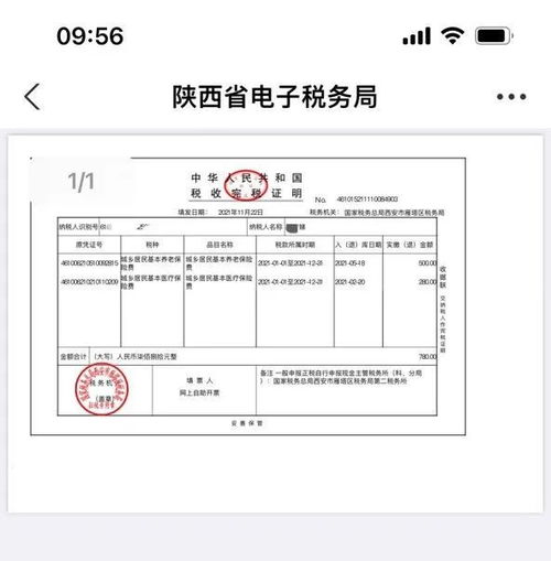 《掌握陕西社会保险缴纳攻略，轻松搞定养老保险》 4