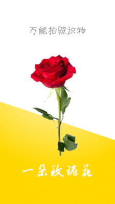 万能拍照识物 截图4