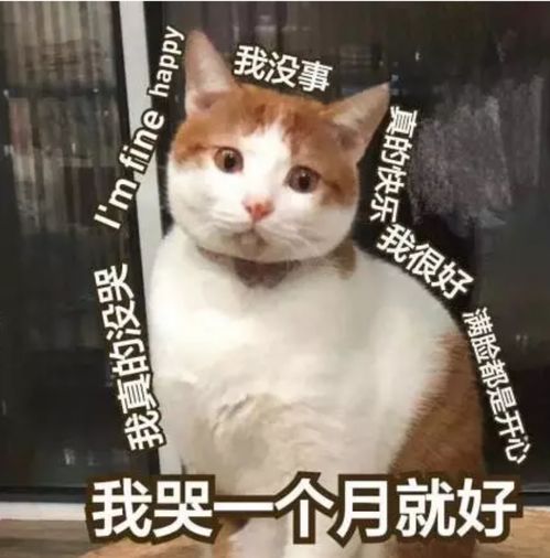 《就我眼神好》生日庆典:巧妙通关秘籍大揭秘 1