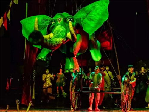 《猎梦马戏师·嘤嘤喵:揭秘《万象马戏团》》 3