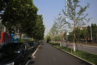 《北京交通》轻松解锁停车照片查看秘籍 1