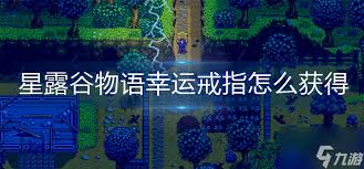《星露谷物语》:揭秘运气戒指的神秘获取之道 3