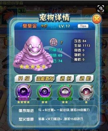 《口袋觉醒》新手必备!前期超强S级宠物精选推荐 1