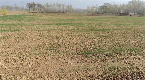 如何轻松设置《一亩田》的地区信息 3