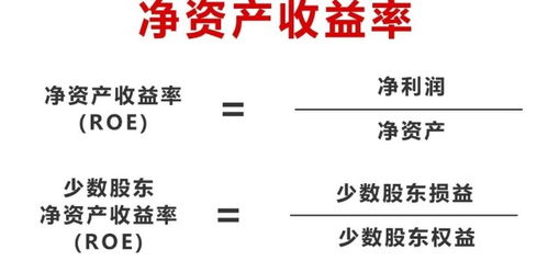 如何高效计算净资产收益率（ROE）公式 1