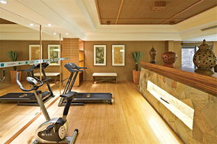 《《帕帕的商业街》攻略:如何优雅布置健身房接待区新家具》 1