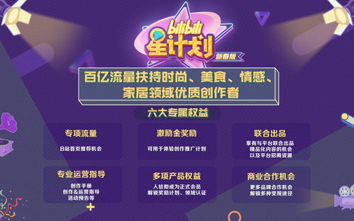 《唱舞星计划:VIP费用明细表》 2