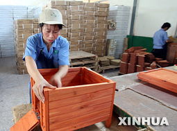 打造温馨舒适爱犬小窝的必备指南 2