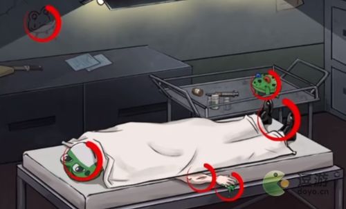 《《看你怎么秀》蛙蛙尸间:超详细通关秘籍,助你轻松过关!》 1