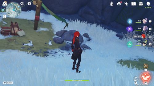 《原神》雪山狐狸难题:一劳永逸的解决策略 1