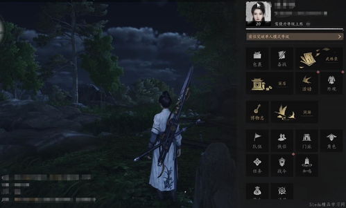 《燕云十六声》：揭秘40级飞速突破的高效策略 4