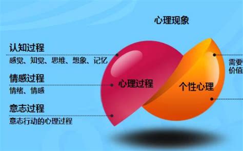 揭秘：心理情结如何悄然形成 4