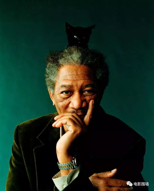 《原神玩家必看！弗里曼的宣言宝箱究竟藏在哪？位置全解析》 2