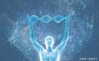 《女神星球》游戏中如何分解基因的方法分享? 4