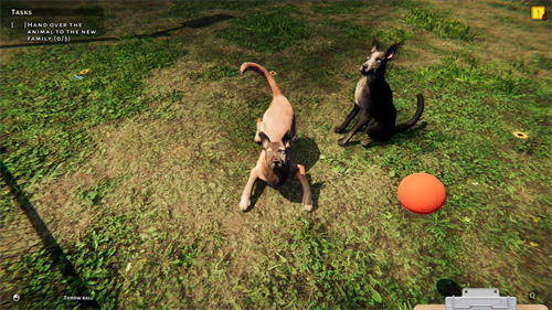 《动物收容所》模拟经营游戏上线Steam 明年一季度即将发售 5